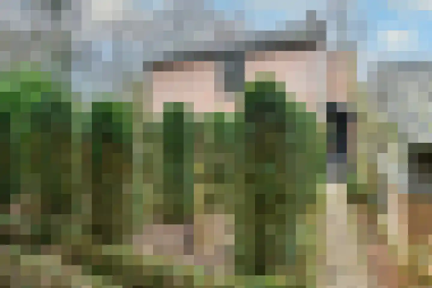 Jacques van Mourikpad 5 Plasmolen thumbnail 42