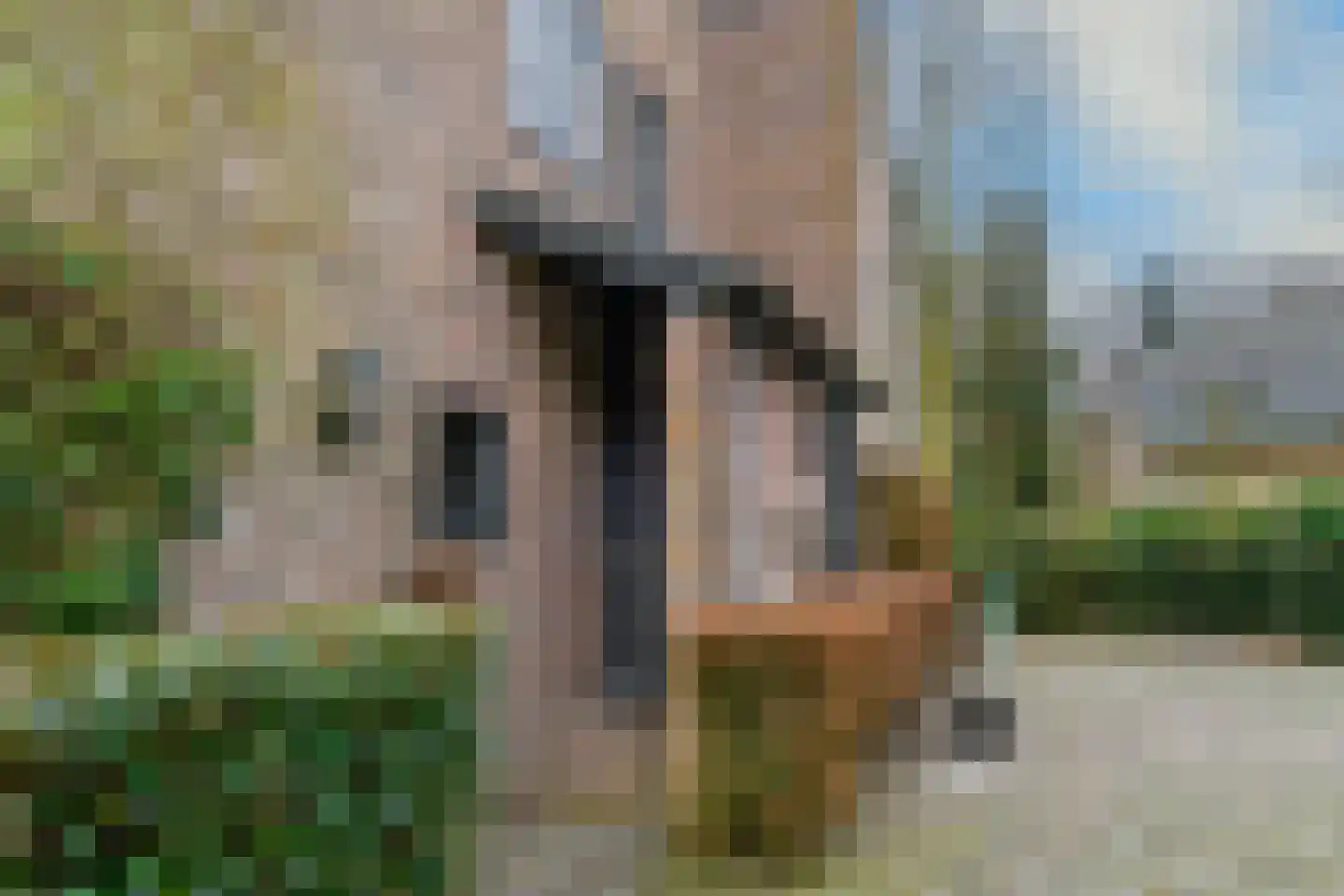 Jacques van Mourikpad 5 Plasmolen thumbnail 48