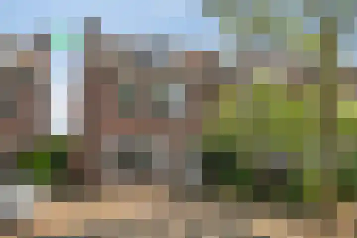 Jadedijk 58 dans Roosendaal