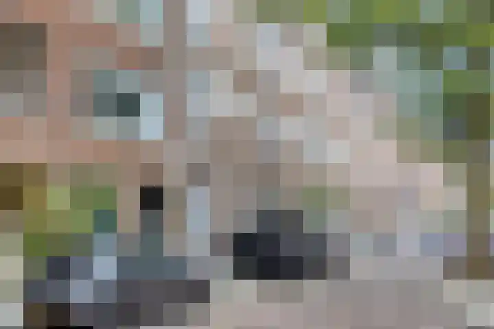 Jaffa 32 A Rotterdam