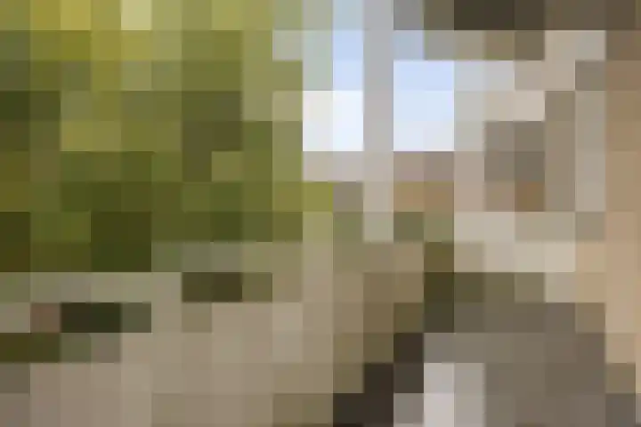 Jaffa 42 E Rotterdam thumbnail 17