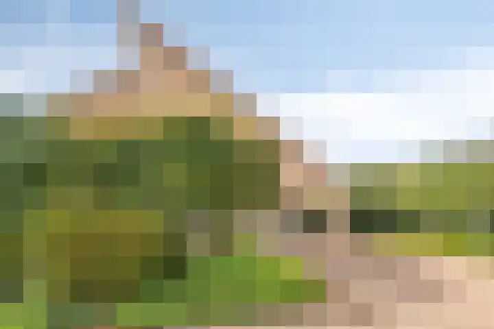 Jagersberg 43 Roosendaal thumbnail 4
