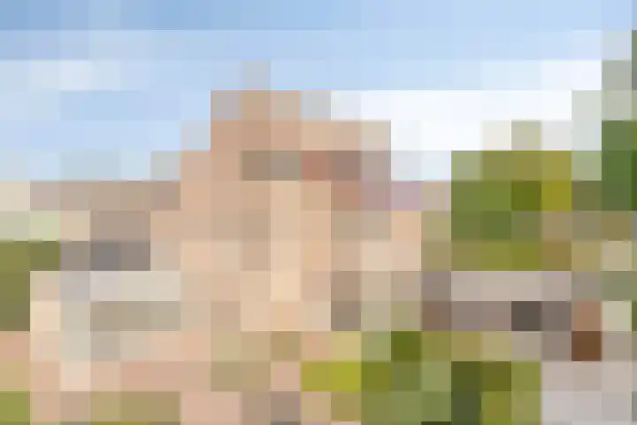 Jagersberg 43 Roosendaal thumbnail 47