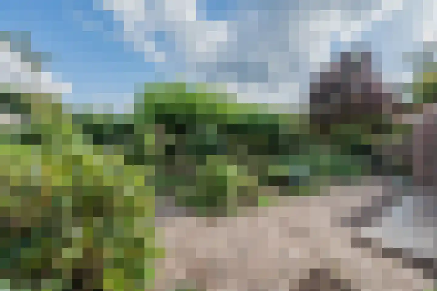 Jagershei 17 Best thumbnail 67