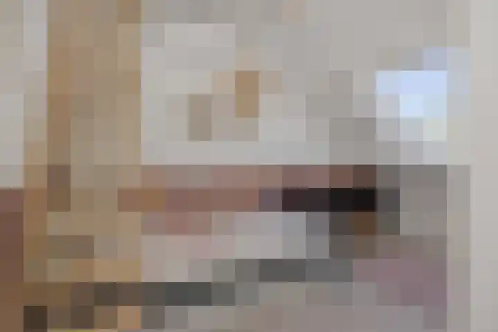 Jagersingel 34 Rosmalen thumbnail 35