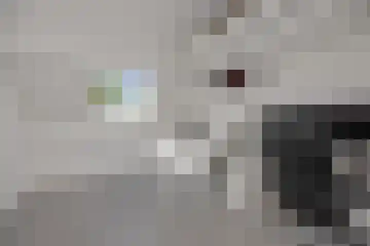 Jagersingel 34 Rosmalen thumbnail 38