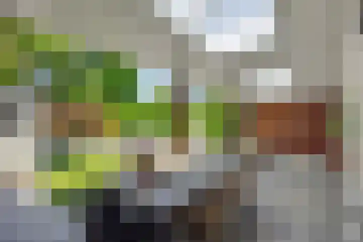 Jagersingel 34 Rosmalen thumbnail 43