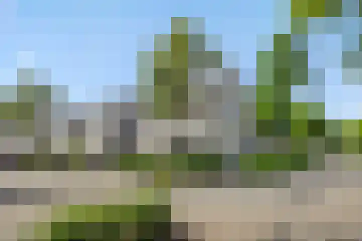 Jagersingel 34 Rosmalen thumbnail 51