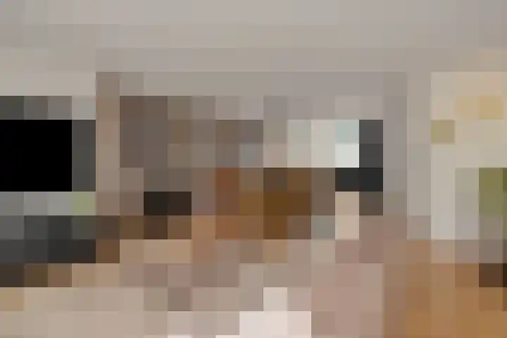 Jagersingel 34 Rosmalen thumbnail 8