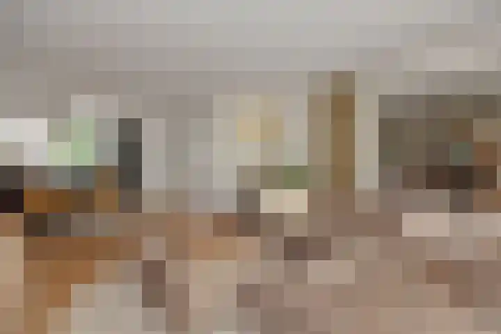 Jagersingel 34 Rosmalen thumbnail 9