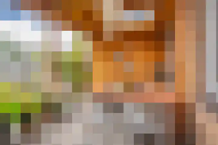 Jagerskamp 23 Westervoort thumbnail 21