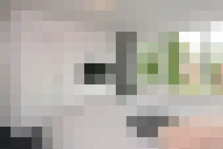 Jagerskamp 8 Oosterbeek thumbnail 25