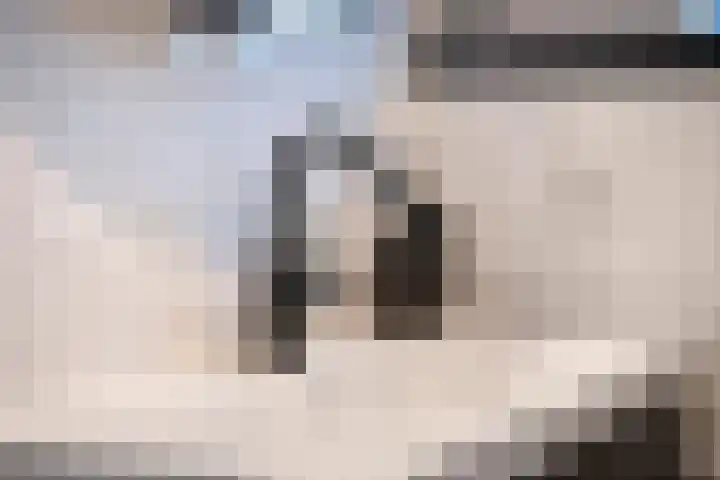 Jagerskamp 8 Oosterbeek thumbnail 33