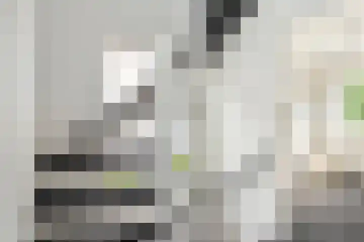 Jagerskamp 8 Oosterbeek thumbnail 34