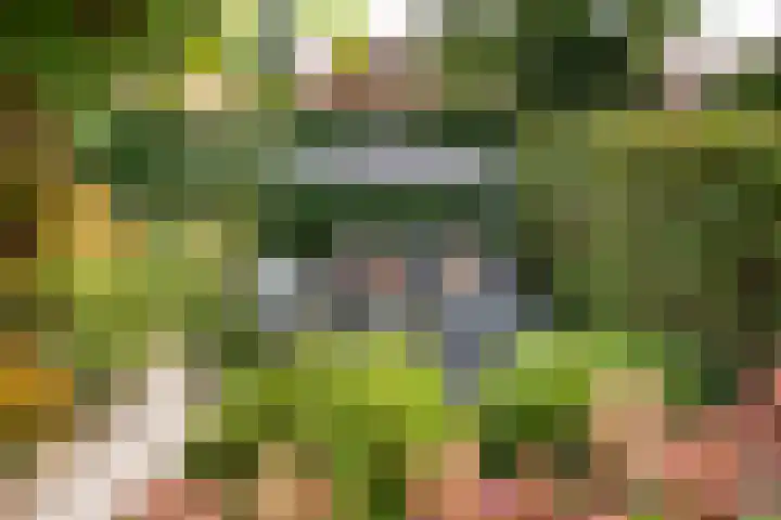 Jagerskamp 8 Oosterbeek thumbnail 42