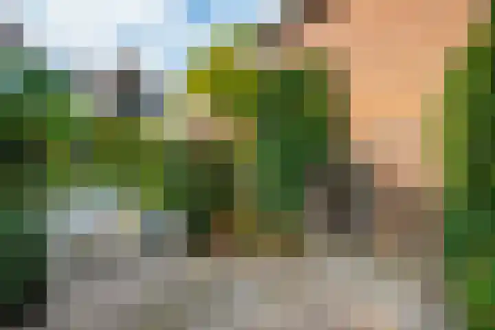 Jagerskamp 8 Oosterbeek thumbnail 47