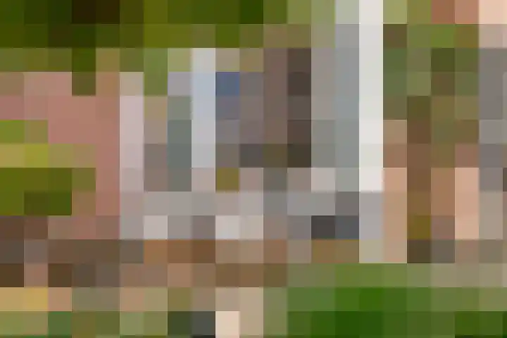Jagerskamp 8 Oosterbeek thumbnail 52
