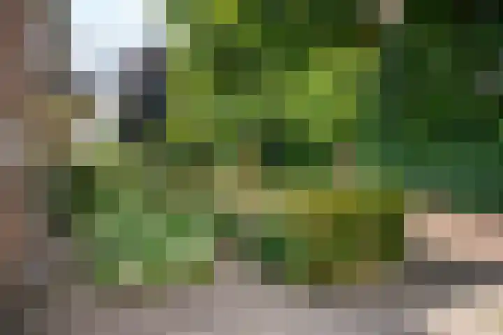 Jagerskamp 8 Oosterbeek thumbnail 62