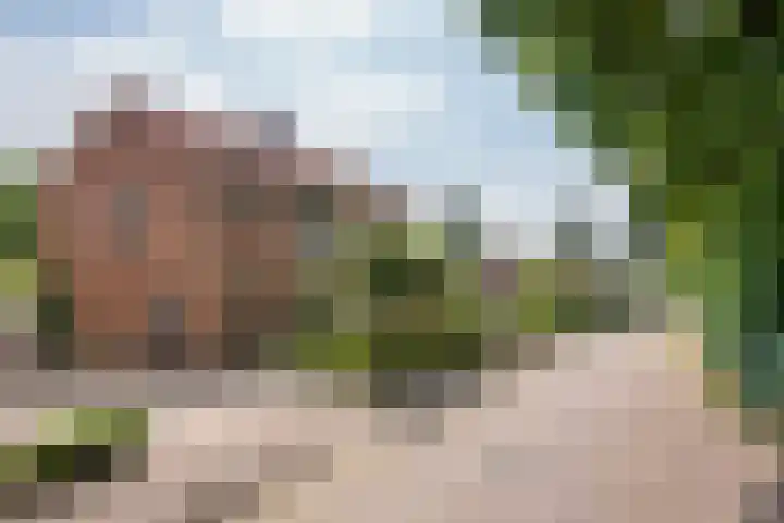 Jagerskamp 8 Oosterbeek thumbnail 63