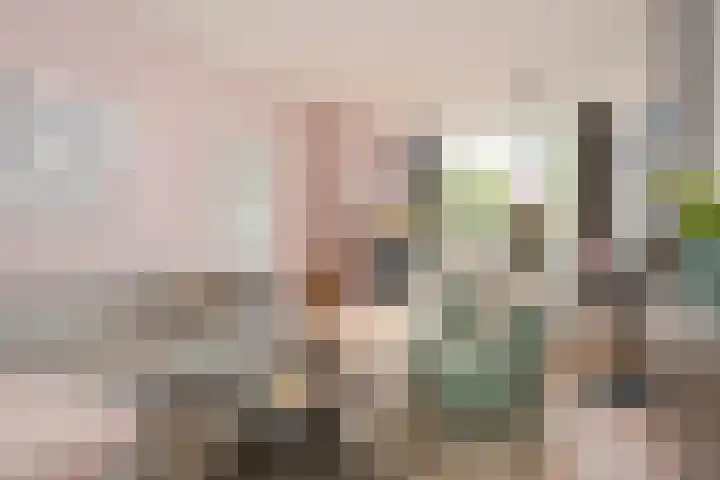 Jagerskamp 8 Oosterbeek thumbnail 9