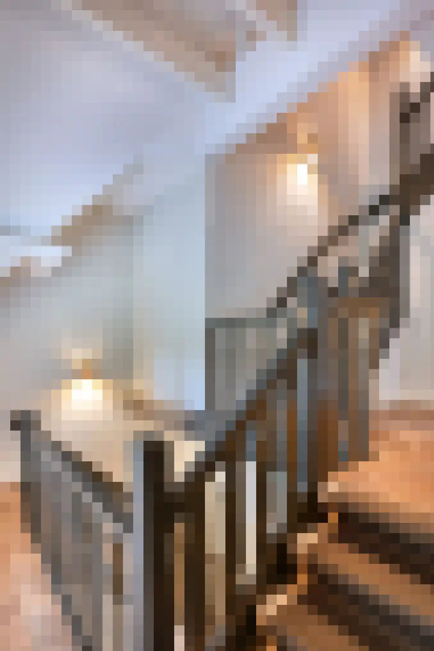 Jagerslaan 2 Doorwerth thumbnail 30