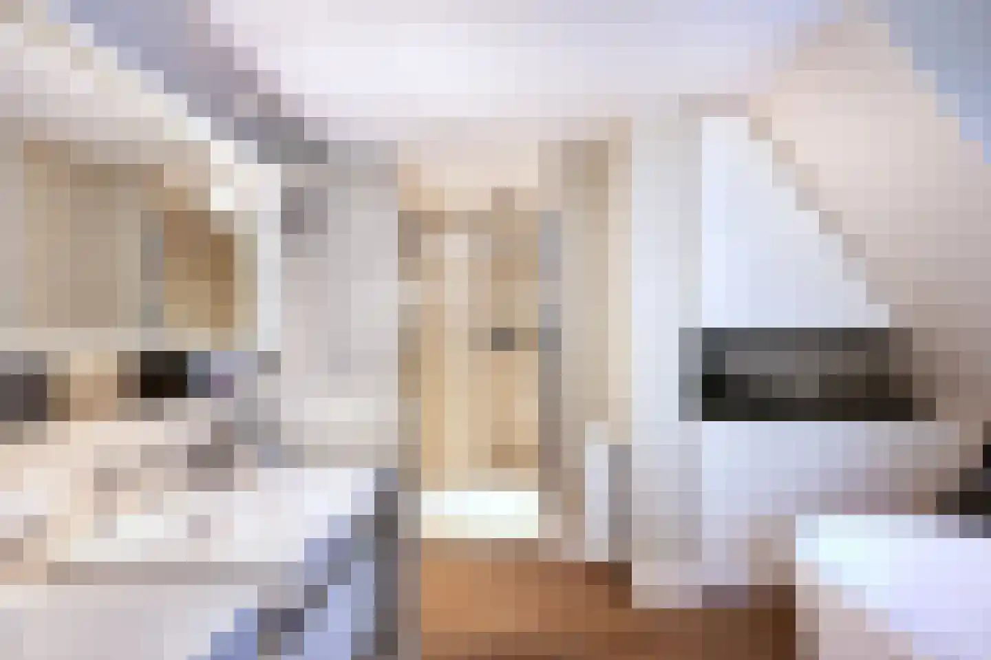 Jagerslaan 2 Doorwerth thumbnail 35