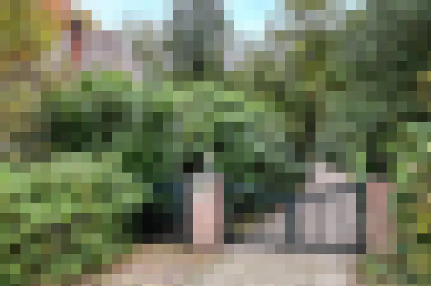 Jagerslaan 2 Doorwerth thumbnail 5