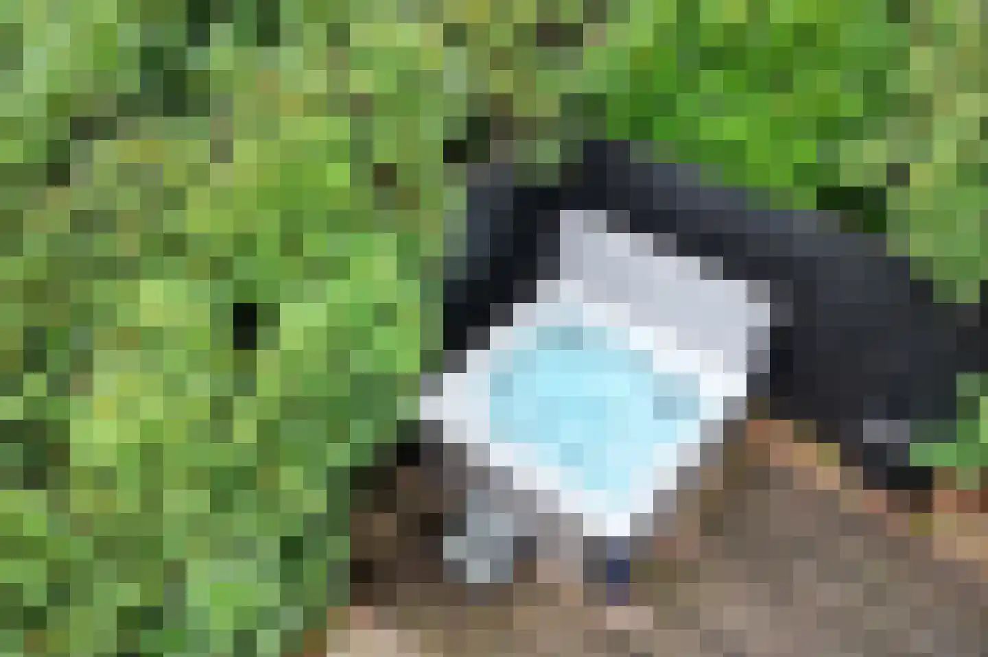 Jagerslaan 2 Doorwerth thumbnail 53