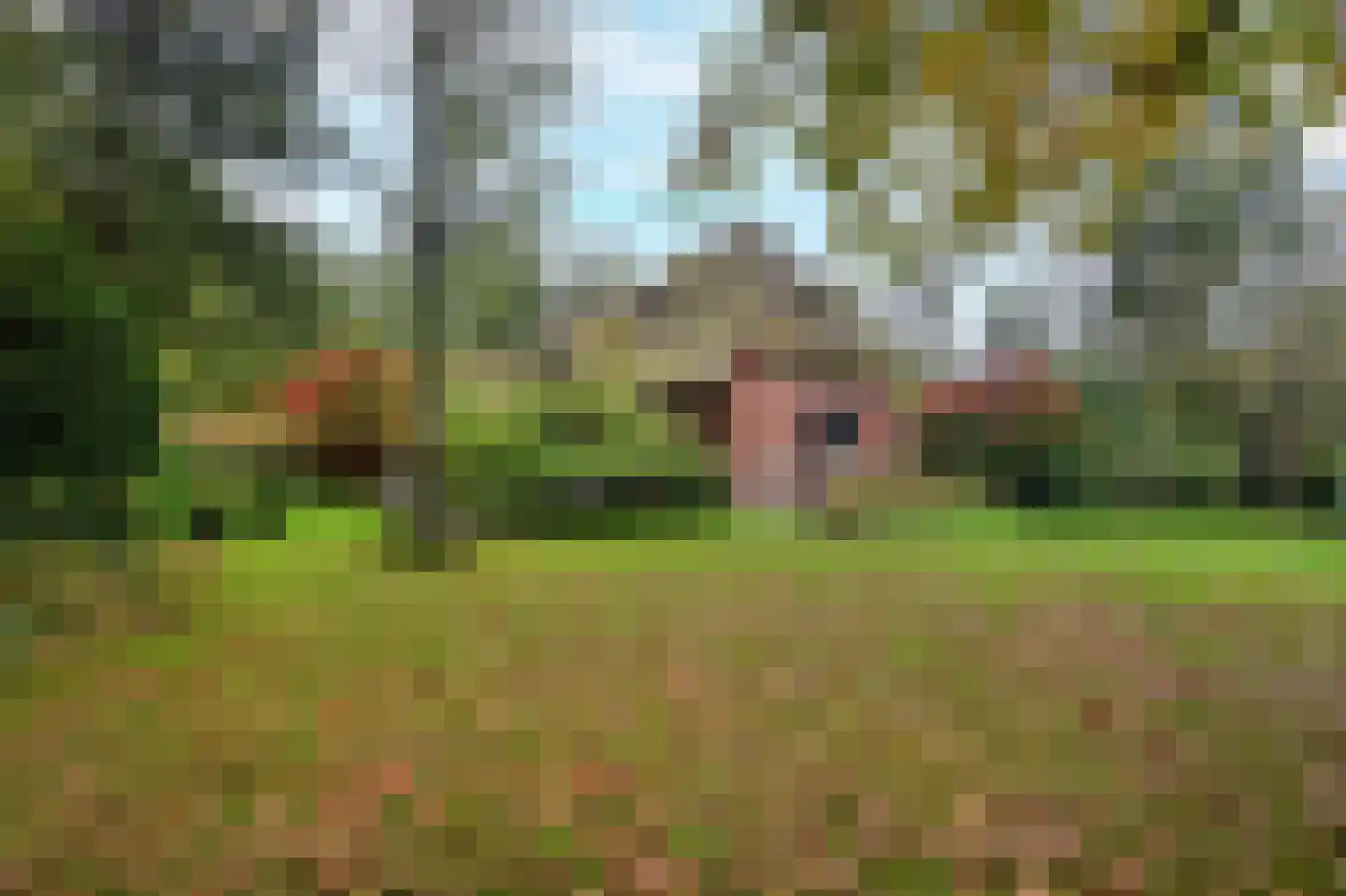 Jagerslaan 2 Doorwerth thumbnail 56