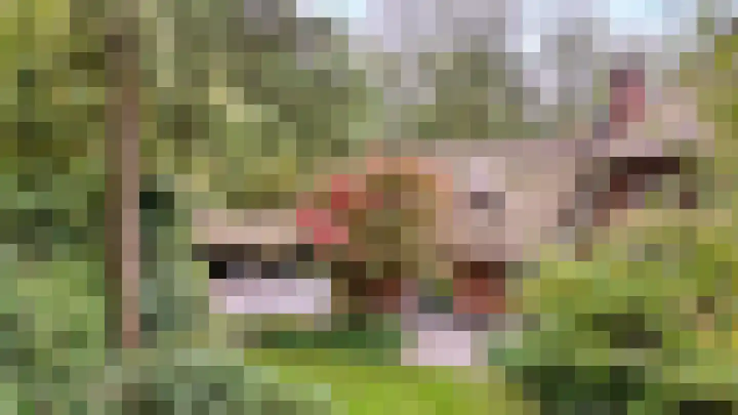 Jagerslaan 2 Doorwerth thumbnail 6