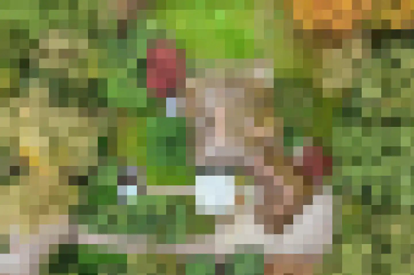 Jagerslaan 2 Doorwerth thumbnail 63