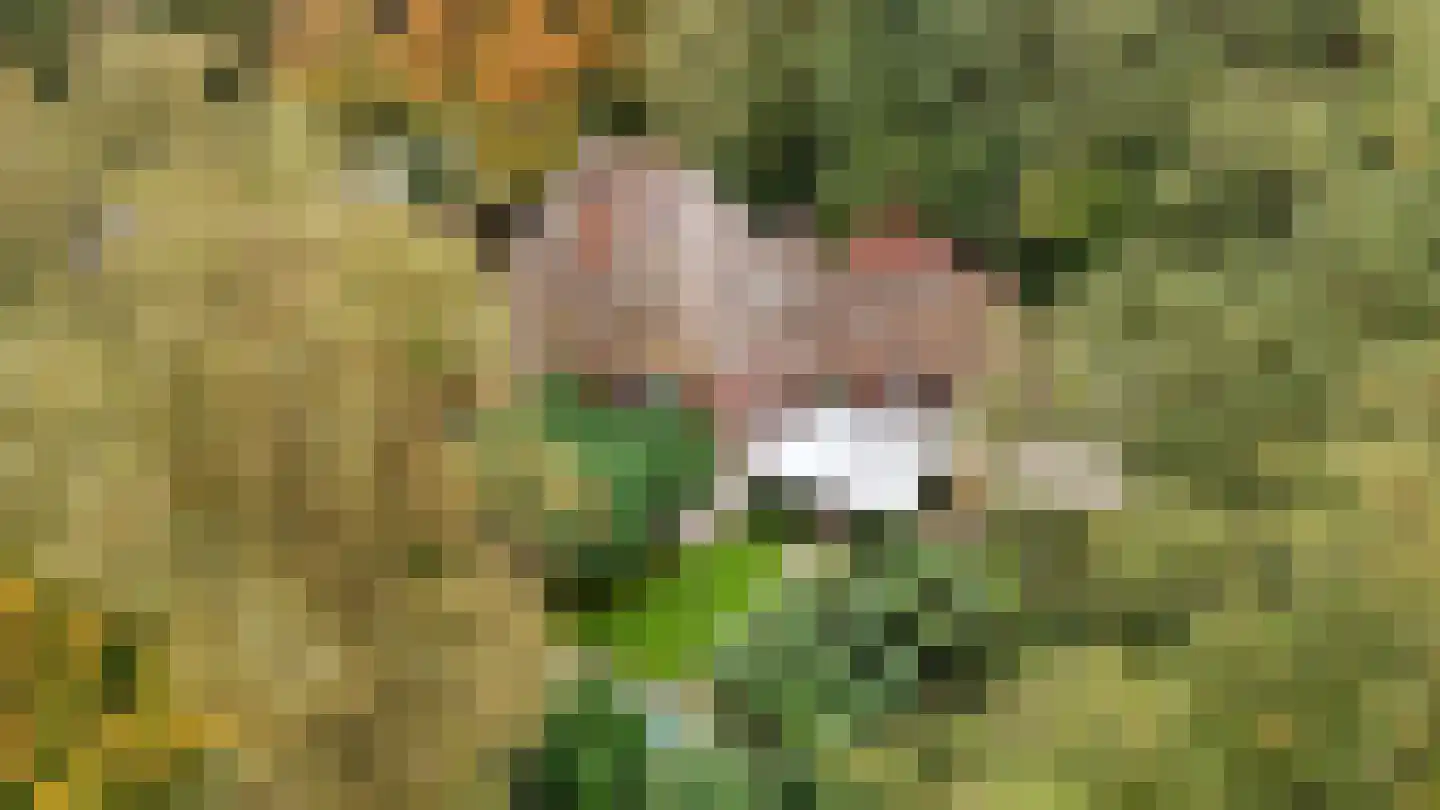 Jagerslaan 2 Doorwerth thumbnail 65