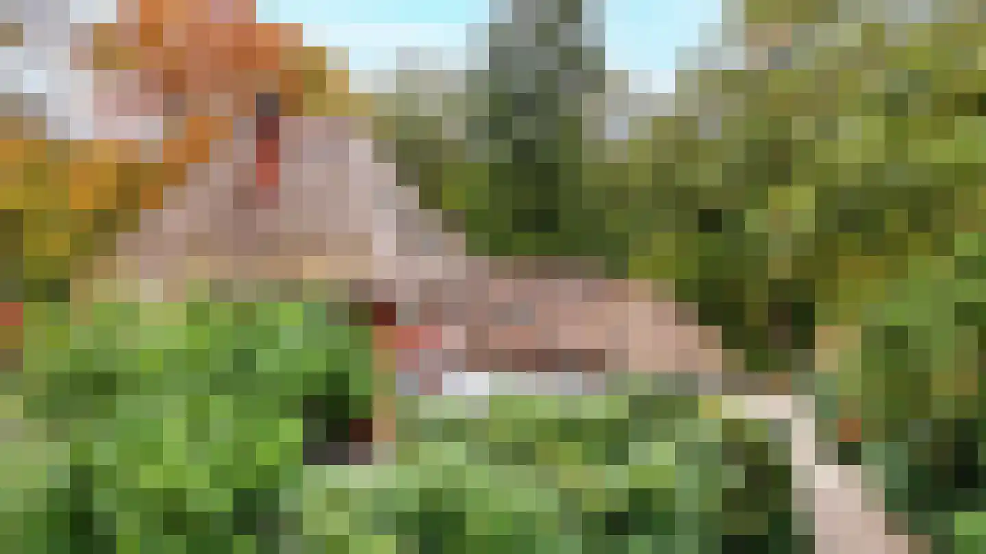 Jagerslaan 2 Doorwerth thumbnail 66
