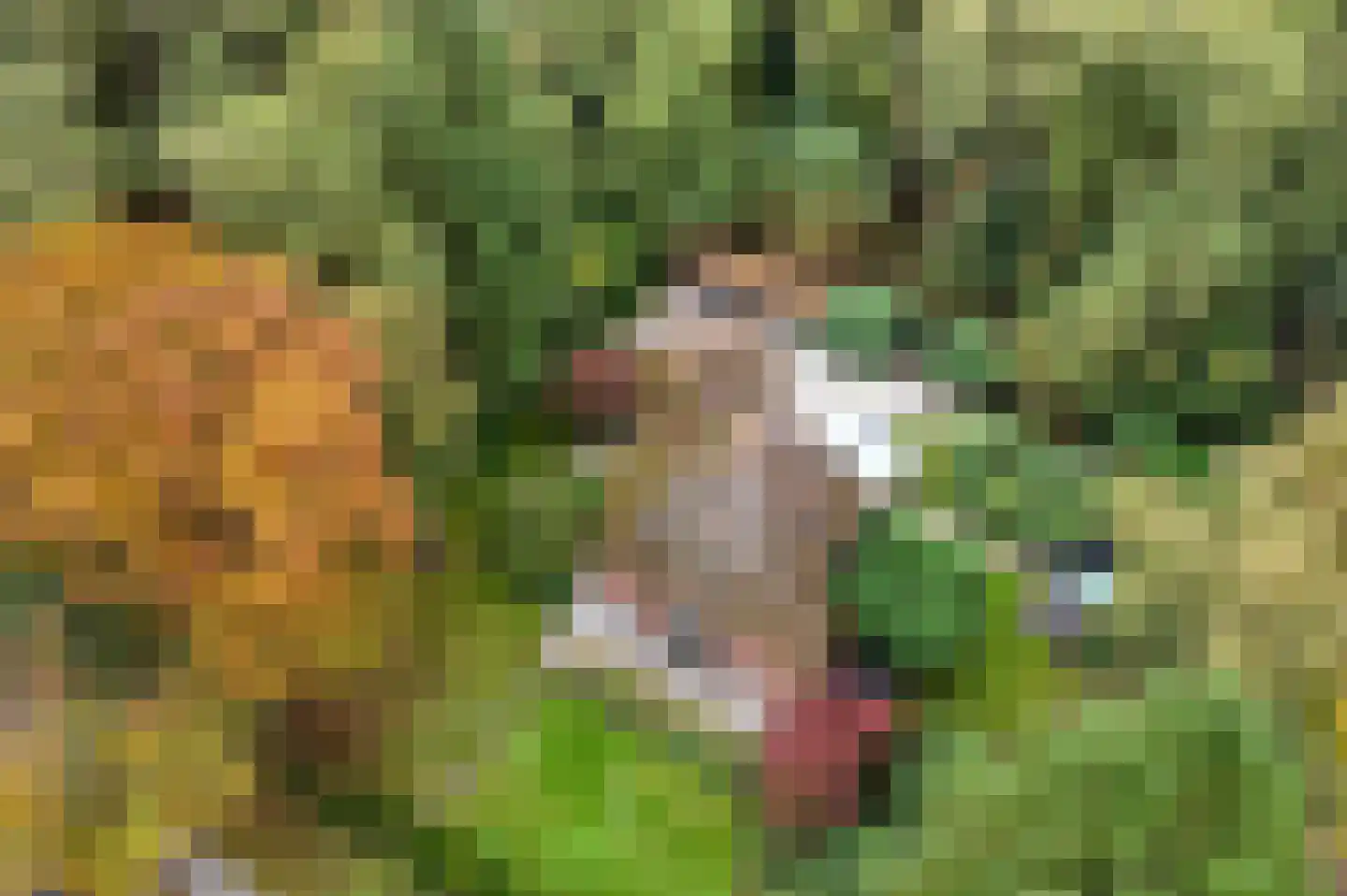 Jagerslaan 2 Doorwerth thumbnail 68