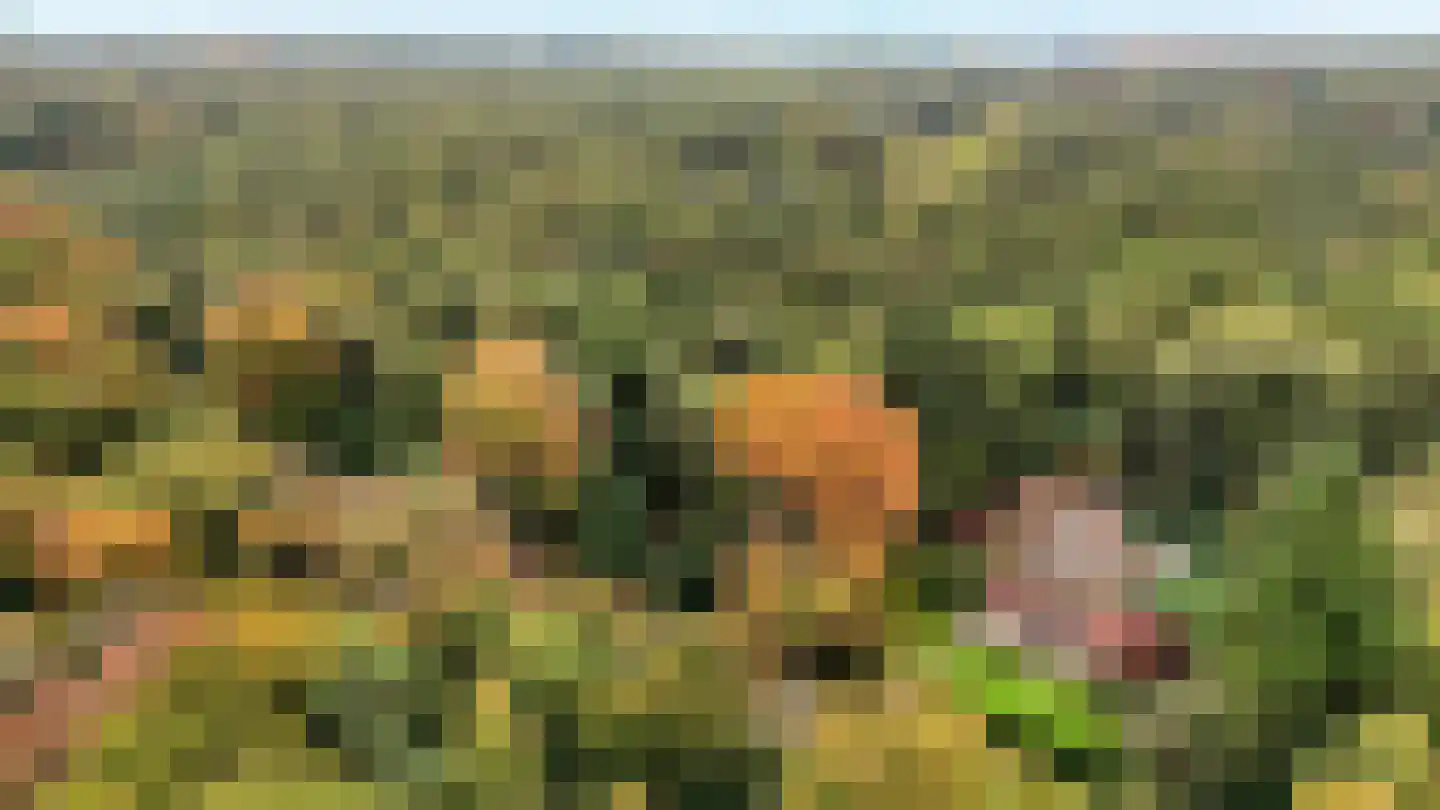 Jagerslaan 2 Doorwerth thumbnail 69