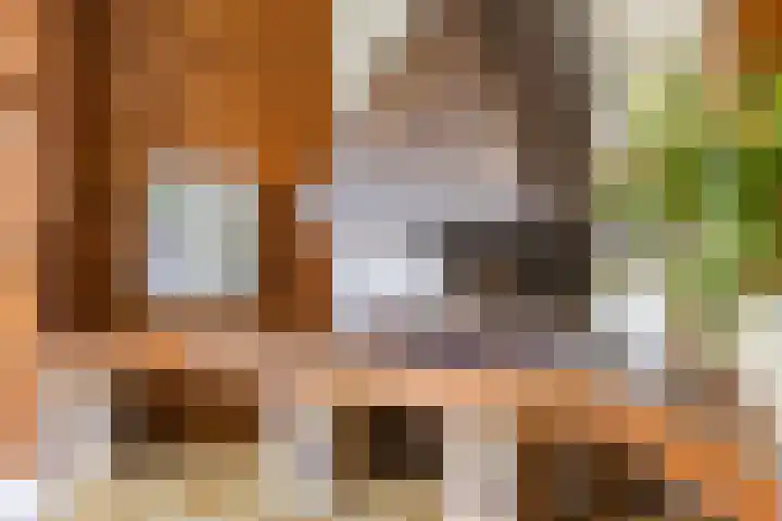 Jagerspad 12 Oss thumbnail 10