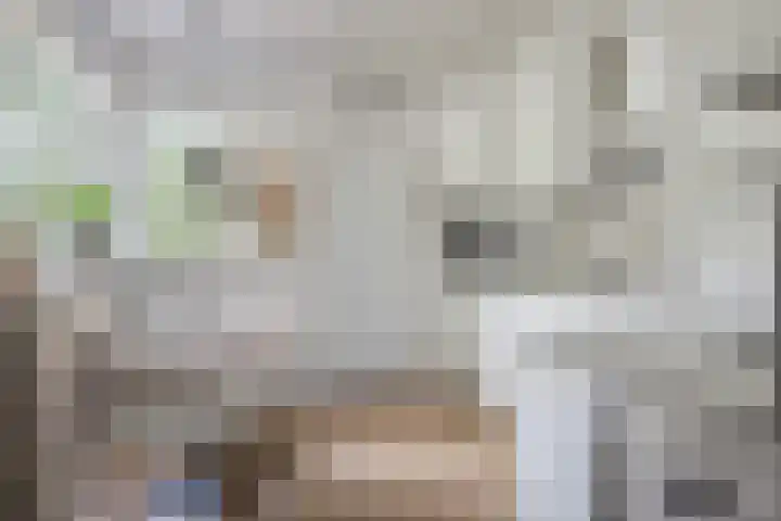 Jagerspad 12 Oss thumbnail 15