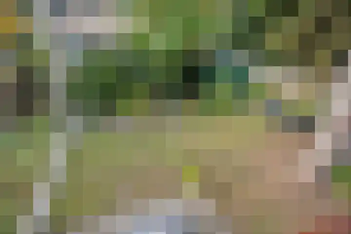 Jagerspad 12 Oss thumbnail 24