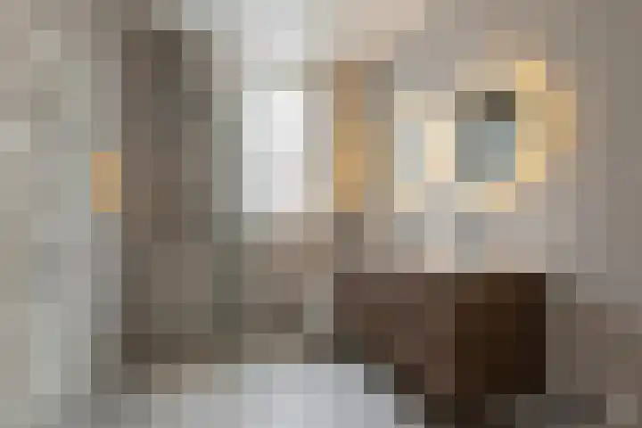 Jagerspad 12 Oss thumbnail 26