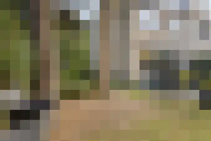 Jagerspad 12 Oss foto 3