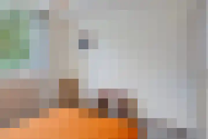 Jagerspad 12 Oss thumbnail 31