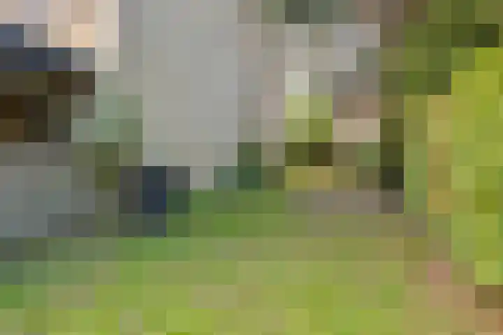Jagerspad 12 Oss thumbnail 4