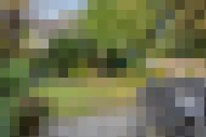 Jagerspad 12 Oss thumbnail 40