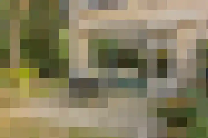 Jagerspad 12 Oss thumbnail 41