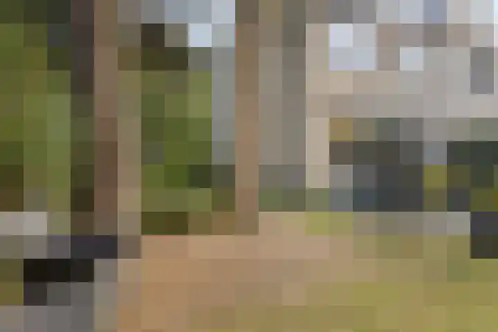 Jagerspad 12 Oss thumbnail 46