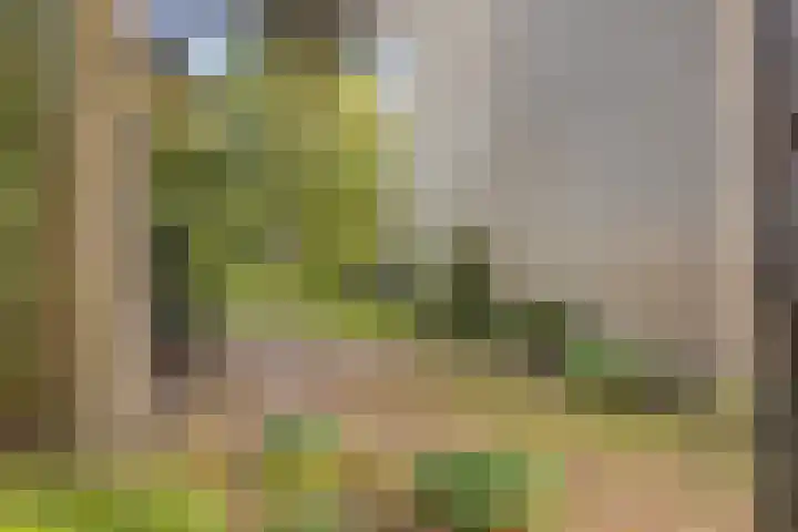 Jagerspad 12 Oss thumbnail 47