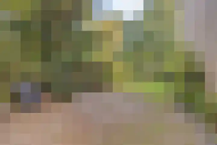 Jagerspad 12 Oss thumbnail 48