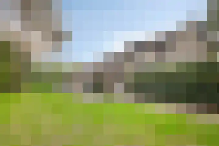 Jagerspad 12 Oss thumbnail 50