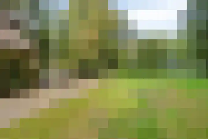 Jagerspad 12 Oss thumbnail 51