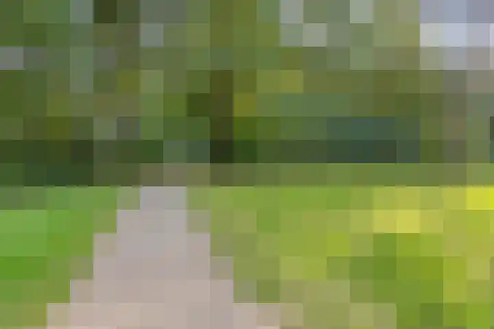 Jagerspad 12 Oss thumbnail 52
